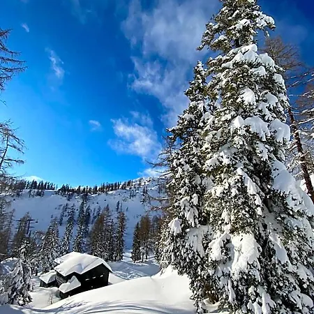 Appartements-restaurant Schwaiger Direkt Beim Lift Und Wunderschoenen Bergblick *
