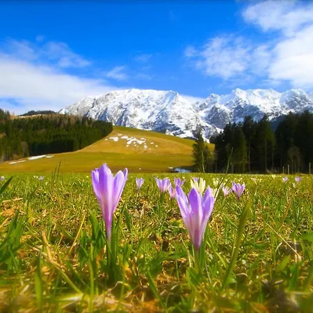 Apartamento Appartements-restaurant Schwaiger Direkt Beim Lift Und Wunderschoenen Bergblick *