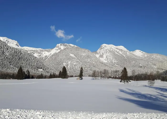 Appartements-restaurant Schwaiger Tauplitz