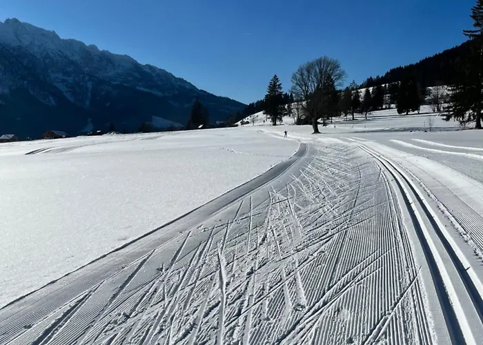 Appartements-restaurant Schwaiger Apartment