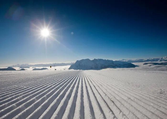 Appartements-restaurant Schwaiger