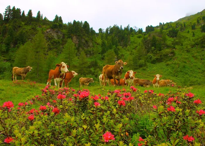 Appartements-restaurant Schwaiger *