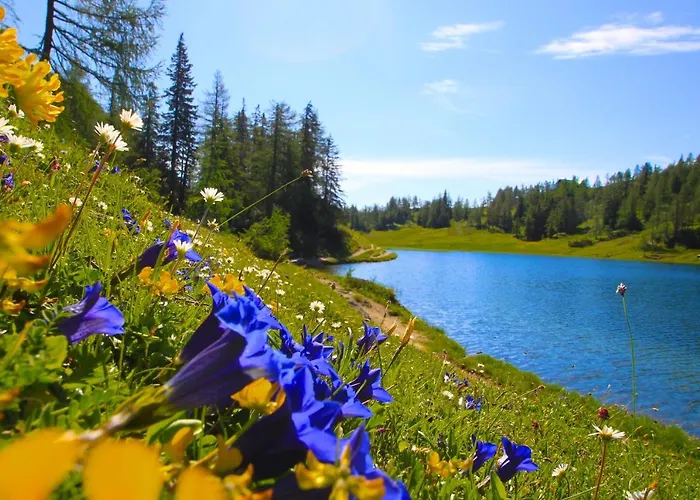 Appartements-restaurant Schwaiger