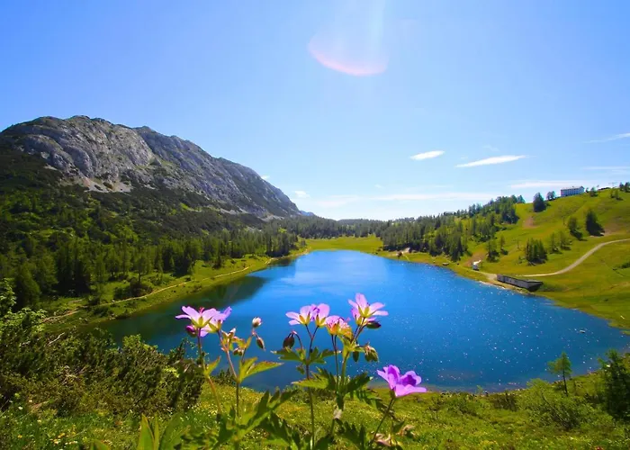 Apartment Appartements-restaurant Schwaiger *